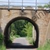 164.JPG